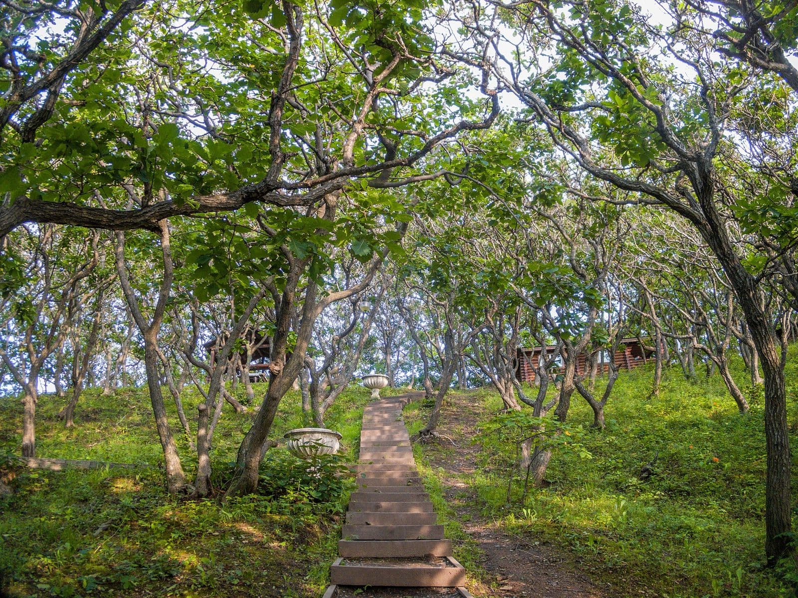2019-08-01-nakhodka-2938.jpg
