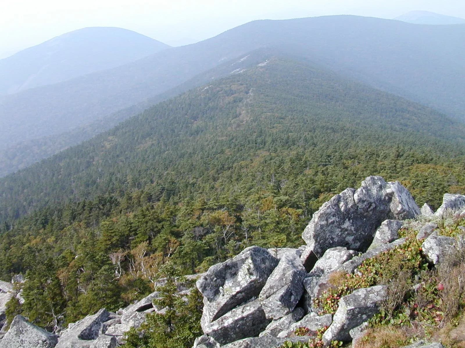 Гора Пидан (Ливадийская) — фото 5